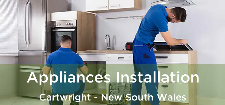 Appliances Installation Cartwright - New South Wales