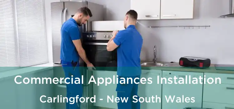 Commercial Appliances Installation Carlingford - New South Wales