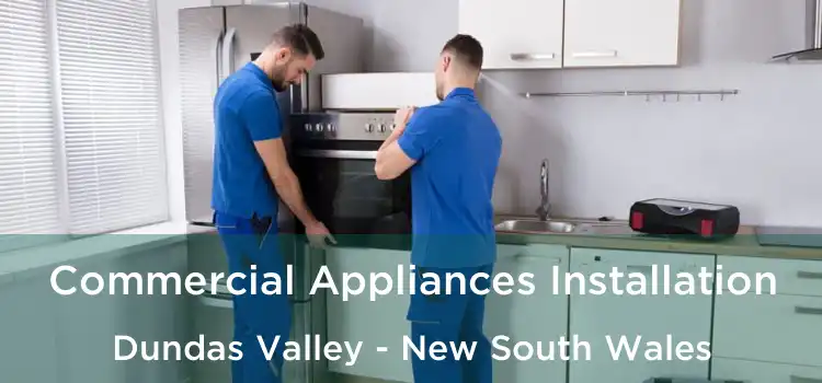 Commercial Appliances Installation Dundas Valley - New South Wales