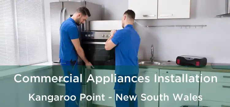 Commercial Appliances Installation Kangaroo Point - New South Wales