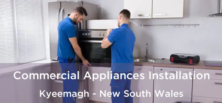 Commercial Appliances Installation Kyeemagh - New South Wales