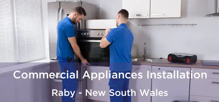 Commercial Appliances Installation Raby - New South Wales