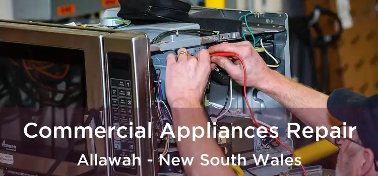 Commercial Appliances Repair Allawah - New South Wales
