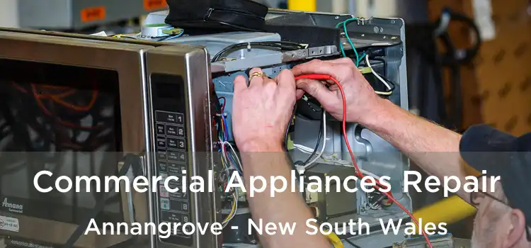 Commercial Appliances Repair Annangrove - New South Wales