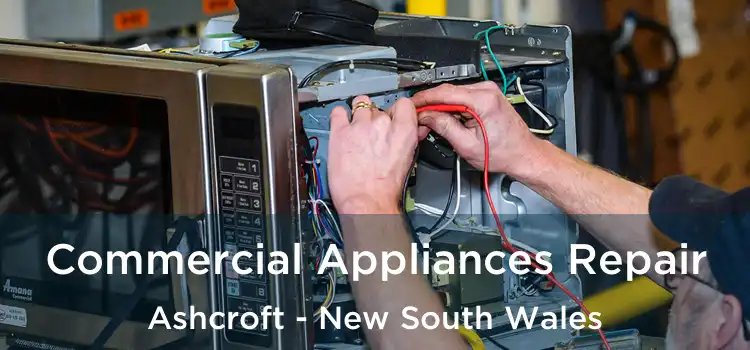 Commercial Appliances Repair Ashcroft - New South Wales