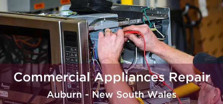 Commercial Appliances Repair Auburn - New South Wales