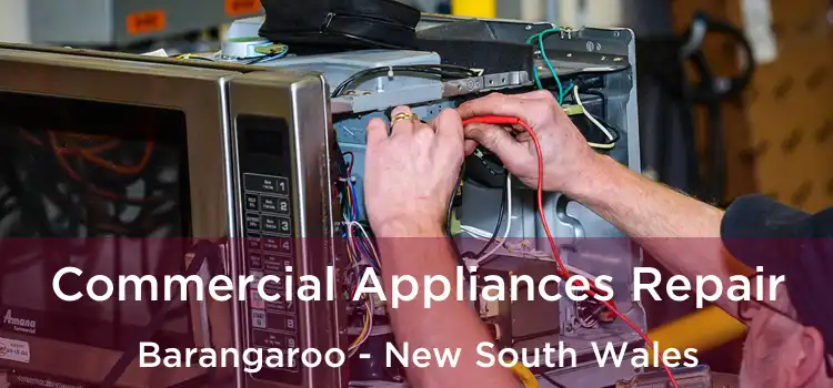 Commercial Appliances Repair Barangaroo - New South Wales