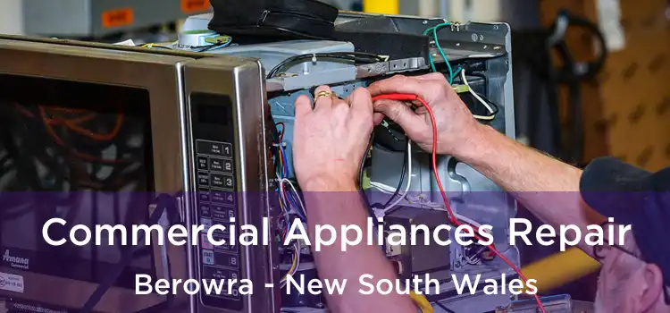 Commercial Appliances Repair Berowra - New South Wales