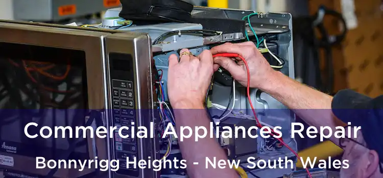 Commercial Appliances Repair Bonnyrigg Heights - New South Wales