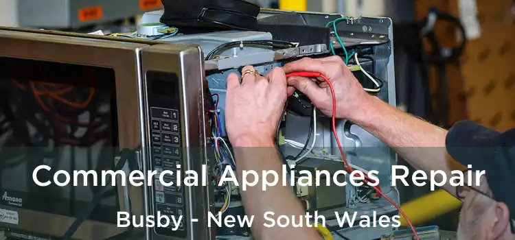 Commercial Appliances Repair Busby - New South Wales