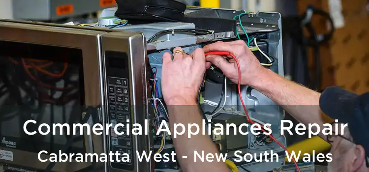 Commercial Appliances Repair Cabramatta West - New South Wales