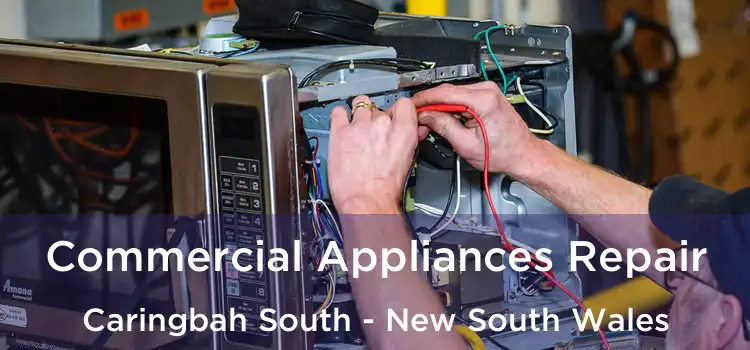 Commercial Appliances Repair Caringbah South - New South Wales