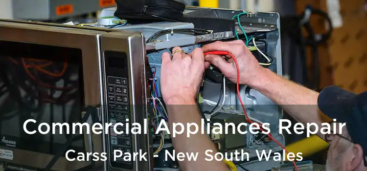 Commercial Appliances Repair Carss Park - New South Wales