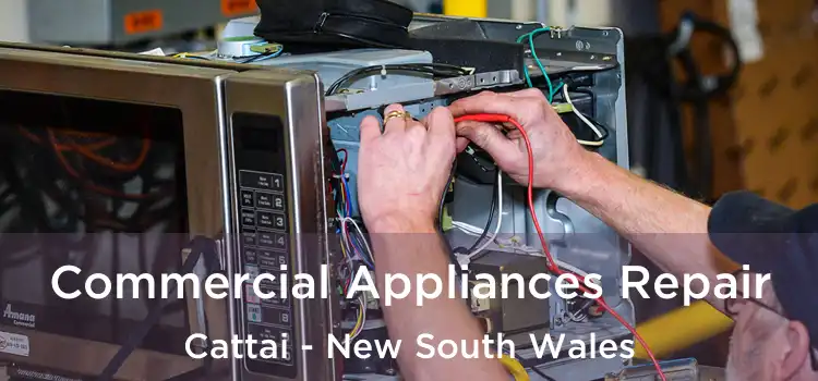 Commercial Appliances Repair Cattai - New South Wales