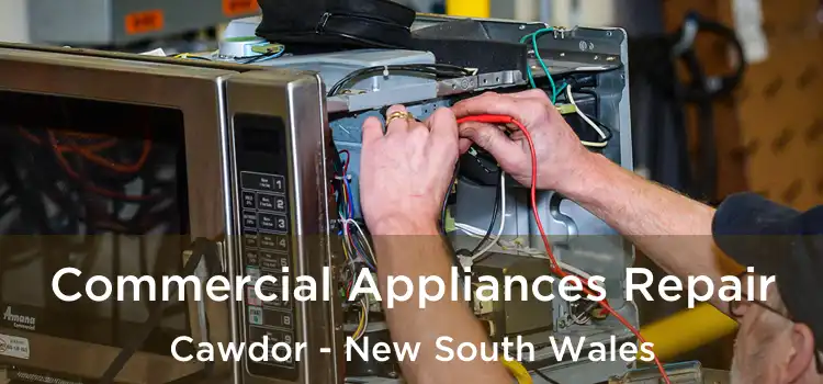 Commercial Appliances Repair Cawdor - New South Wales