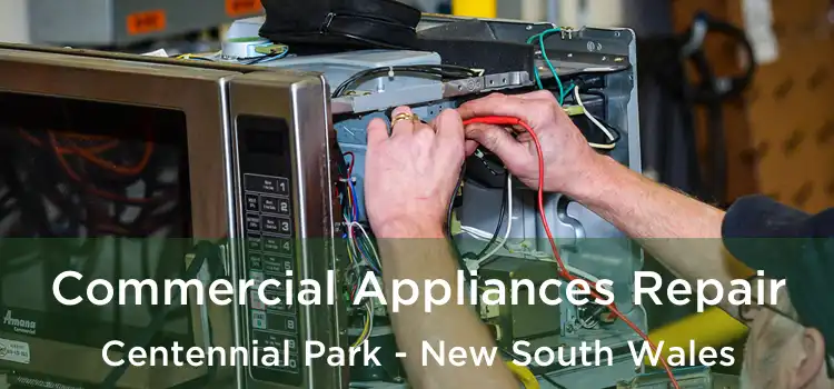 Commercial Appliances Repair Centennial Park - New South Wales