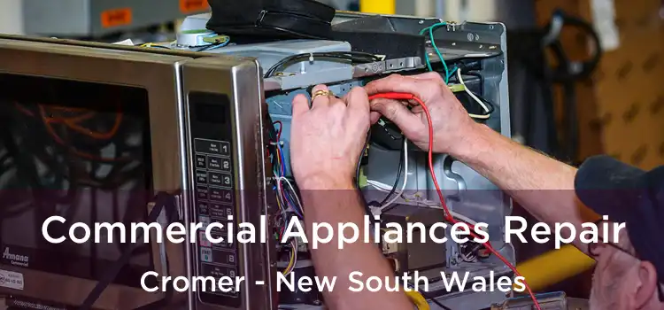 Commercial Appliances Repair Cromer - New South Wales