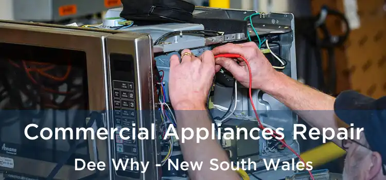 Commercial Appliances Repair Dee Why - New South Wales