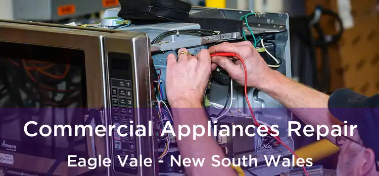 Commercial Appliances Repair Eagle Vale - New South Wales