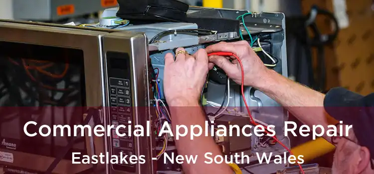 Commercial Appliances Repair Eastlakes - New South Wales