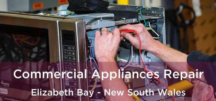 Commercial Appliances Repair Elizabeth Bay - New South Wales