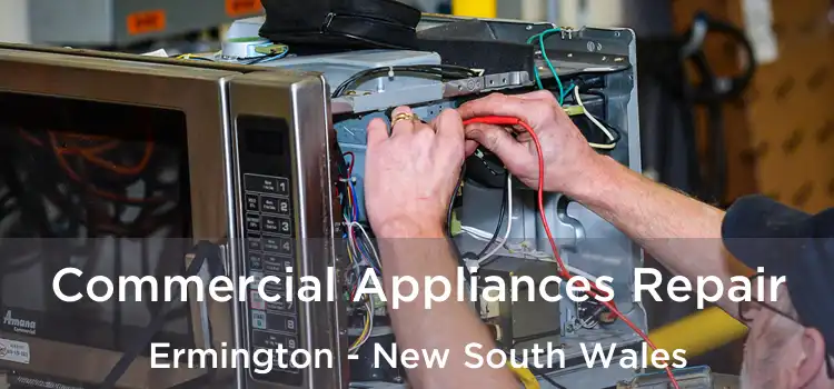 Commercial Appliances Repair Ermington - New South Wales