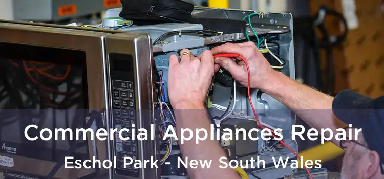 Commercial Appliances Repair Eschol Park - New South Wales