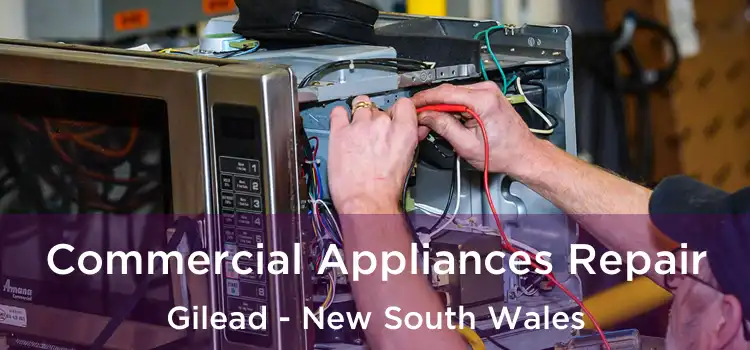 Commercial Appliances Repair Gilead - New South Wales
