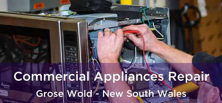 Commercial Appliances Repair Grose Wold - New South Wales