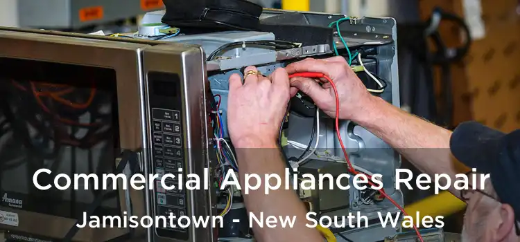 Commercial Appliances Repair Jamisontown - New South Wales