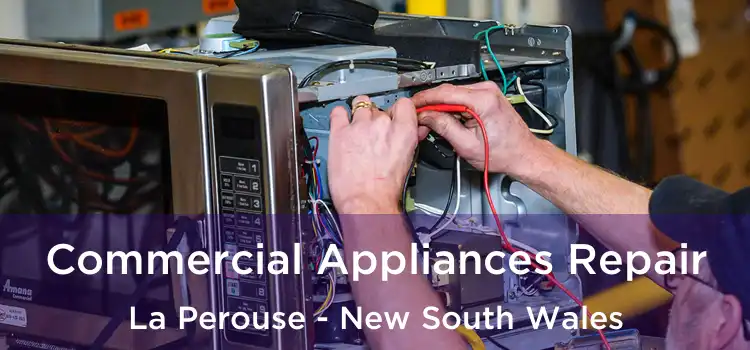 Commercial Appliances Repair La Perouse - New South Wales