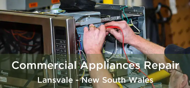 Commercial Appliances Repair Lansvale - New South Wales