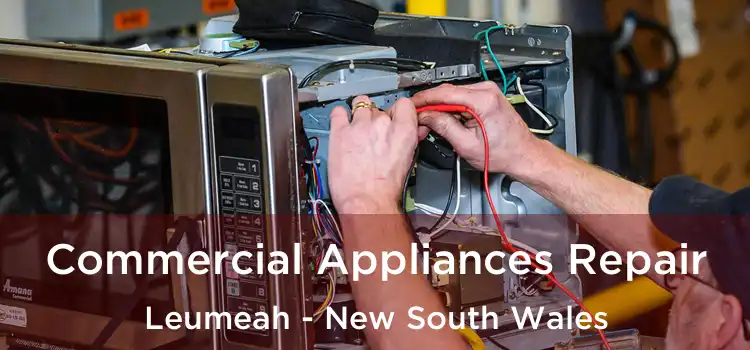 Commercial Appliances Repair Leumeah - New South Wales