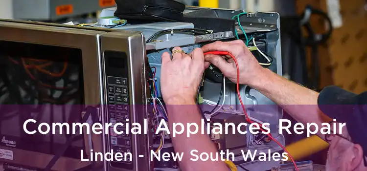 Commercial Appliances Repair Linden - New South Wales