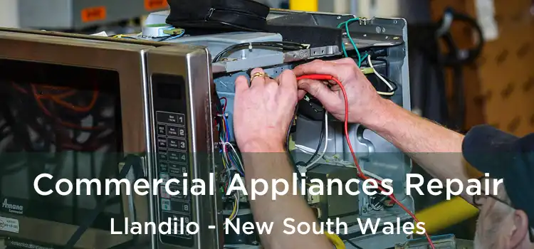 Commercial Appliances Repair Llandilo - New South Wales