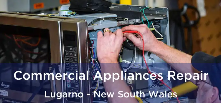 Commercial Appliances Repair Lugarno - New South Wales