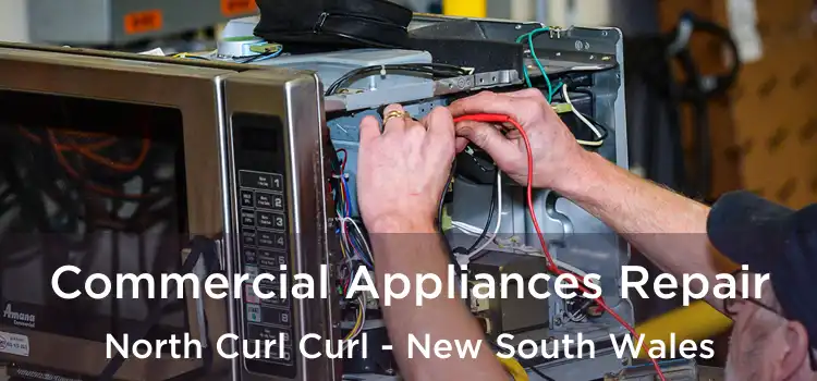 Commercial Appliances Repair North Curl Curl - New South Wales