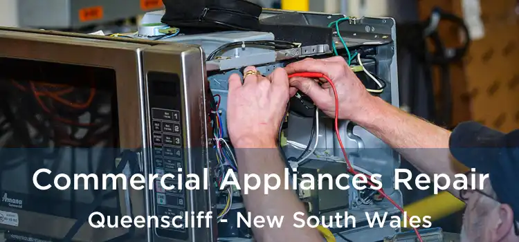 Commercial Appliances Repair Queenscliff - New South Wales