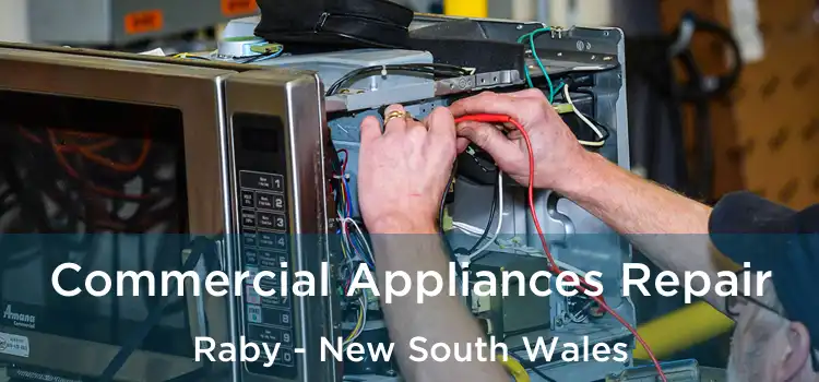 Commercial Appliances Repair Raby - New South Wales