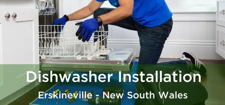 Dishwasher Installation Erskineville - New South Wales