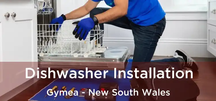 Dishwasher Installation Gymea - New South Wales