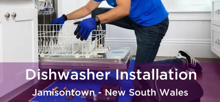 Dishwasher Installation Jamisontown - New South Wales
