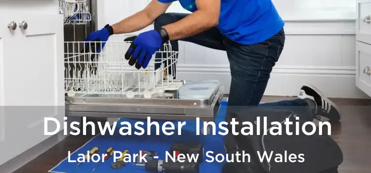 Dishwasher Installation Lalor Park - New South Wales
