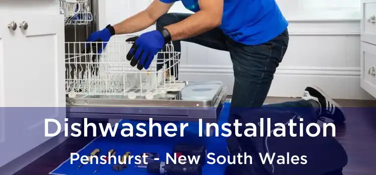 Dishwasher Installation Penshurst - New South Wales