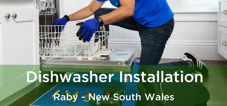 Dishwasher Installation Raby - New South Wales