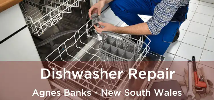 Dishwasher Repair Agnes Banks - New South Wales