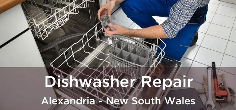 Dishwasher Repair Alexandria - New South Wales