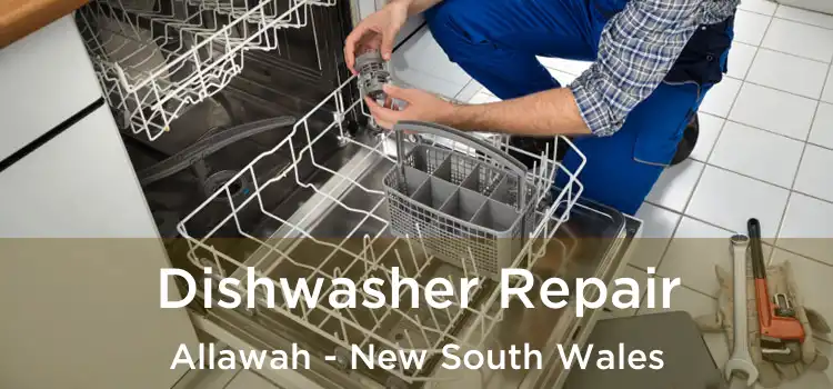Dishwasher Repair Allawah - New South Wales