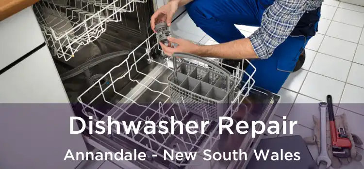 Dishwasher Repair Annandale - New South Wales