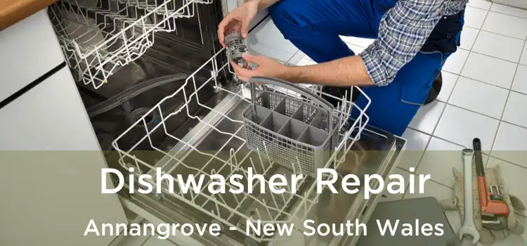 Dishwasher Repair Annangrove - New South Wales